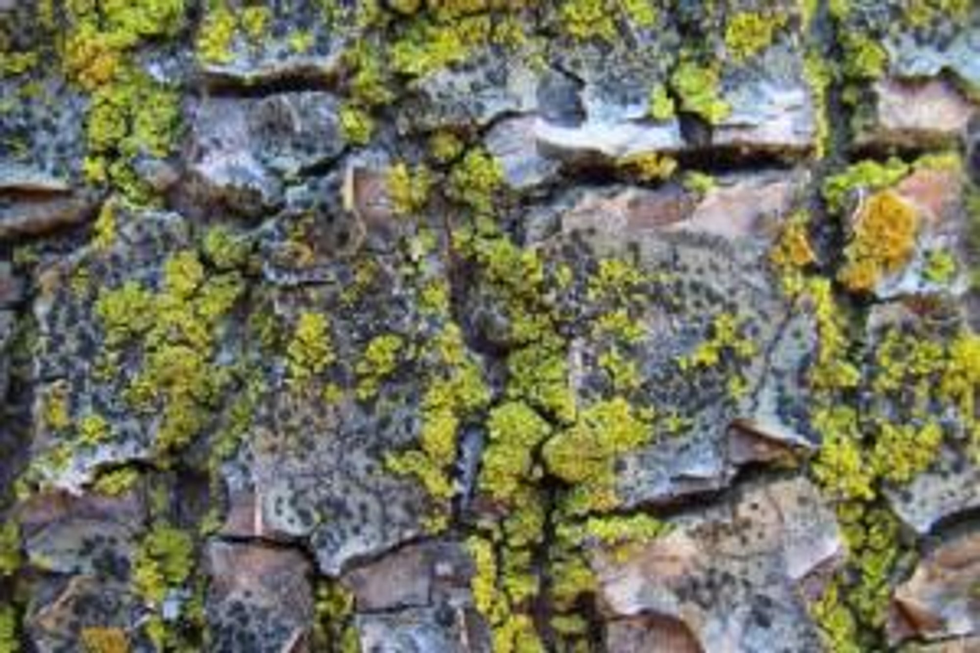 "Resurrecting the Past Norrmalm"