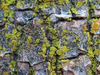 "Resurrecting the Past Norrmalm"