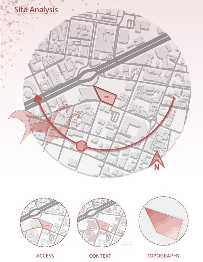 Site analysis showing access, context, and topography.