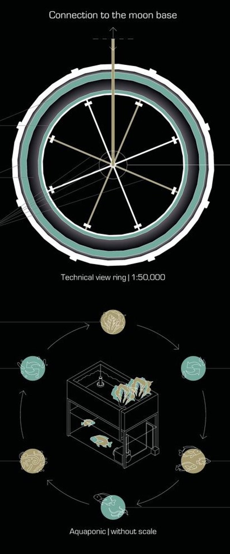 Technical view of MOONWARTS ring and aquaponic system.