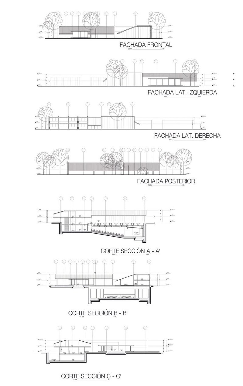 Detailed architectural elevation and section plans.