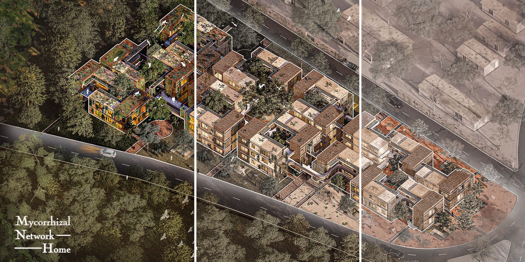 Mycorrhizal Network Home: A Symbiotic Design for Sustainable Living in the Amazon