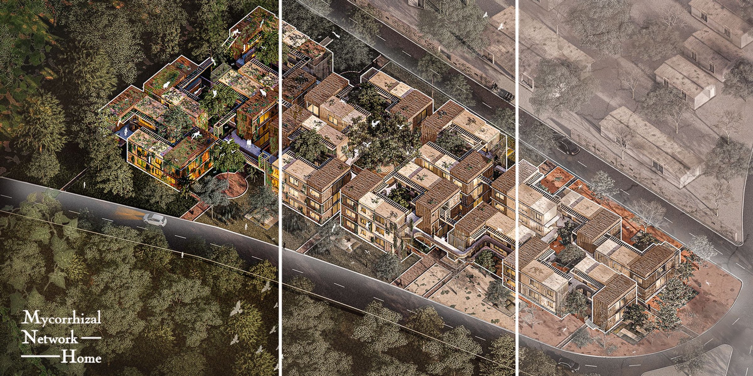 Mycorrhizal Network Home: A Symbiotic Design for Sustainable Living in the Amazon