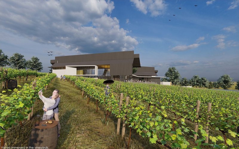 Visitors immersed in vineyard's natural beauty and architecture.
