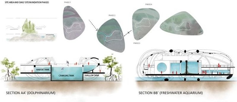 Tale of an Ocean: Sections &amp; phases.