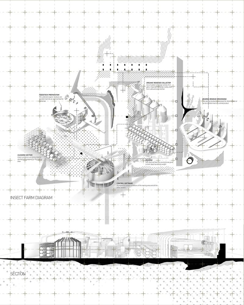 Insect farm diagram illustrating closed-loop system and organic waste processing.