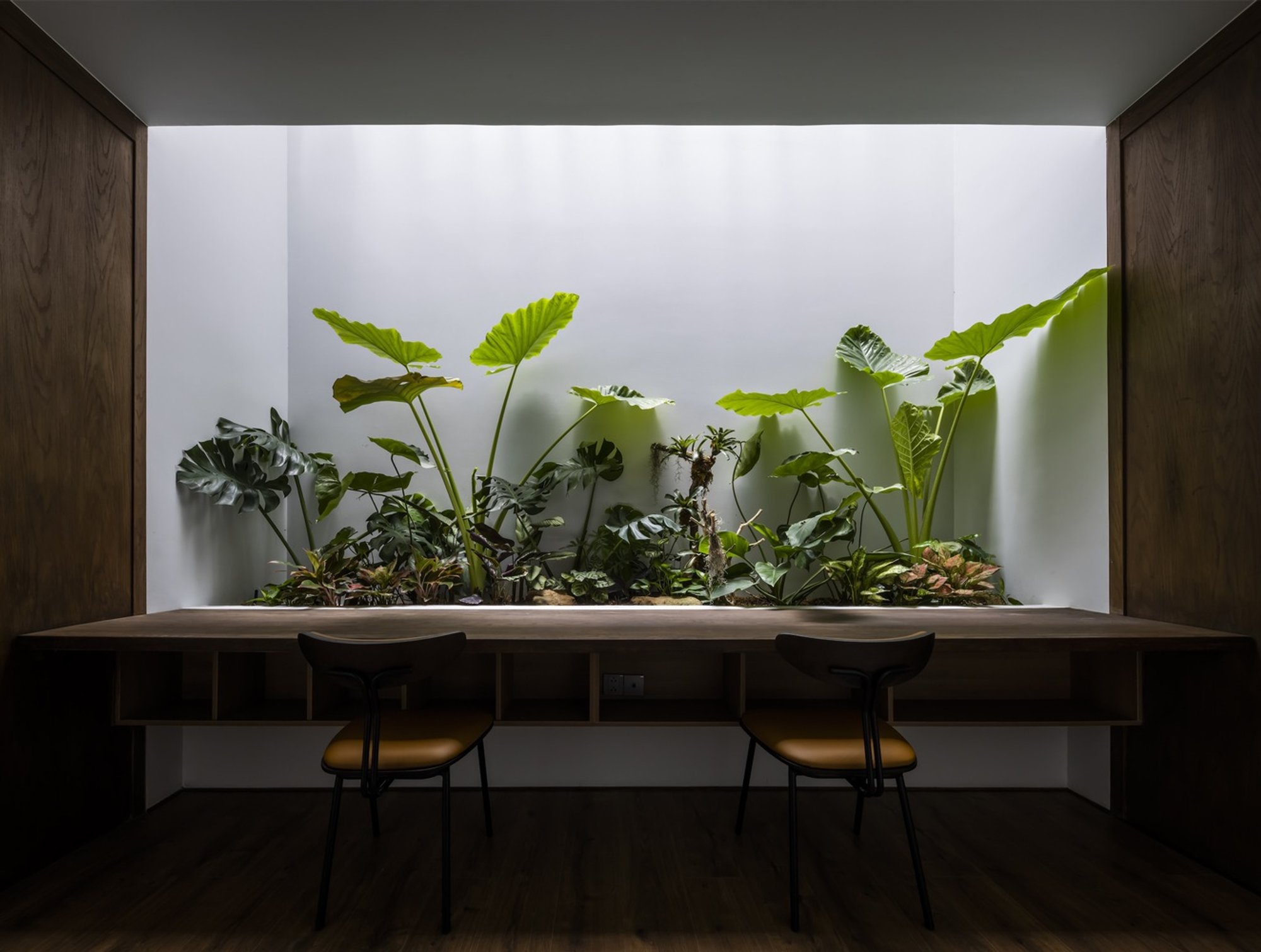 23o5Studio Carves a Breathing Green Core into a Narrow Saigon Rowhouse