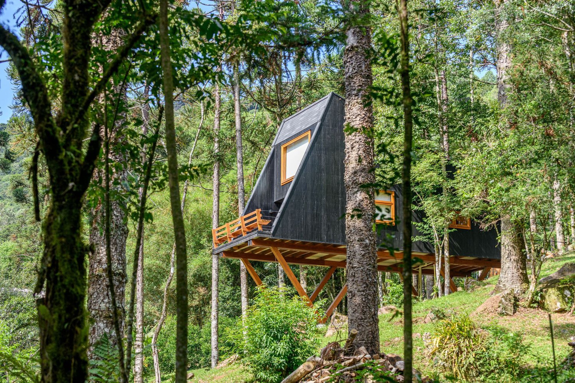 Tree House by Íntegra Studio Arquitetura: A Minimalist Hideaway in the Atlantic Forest