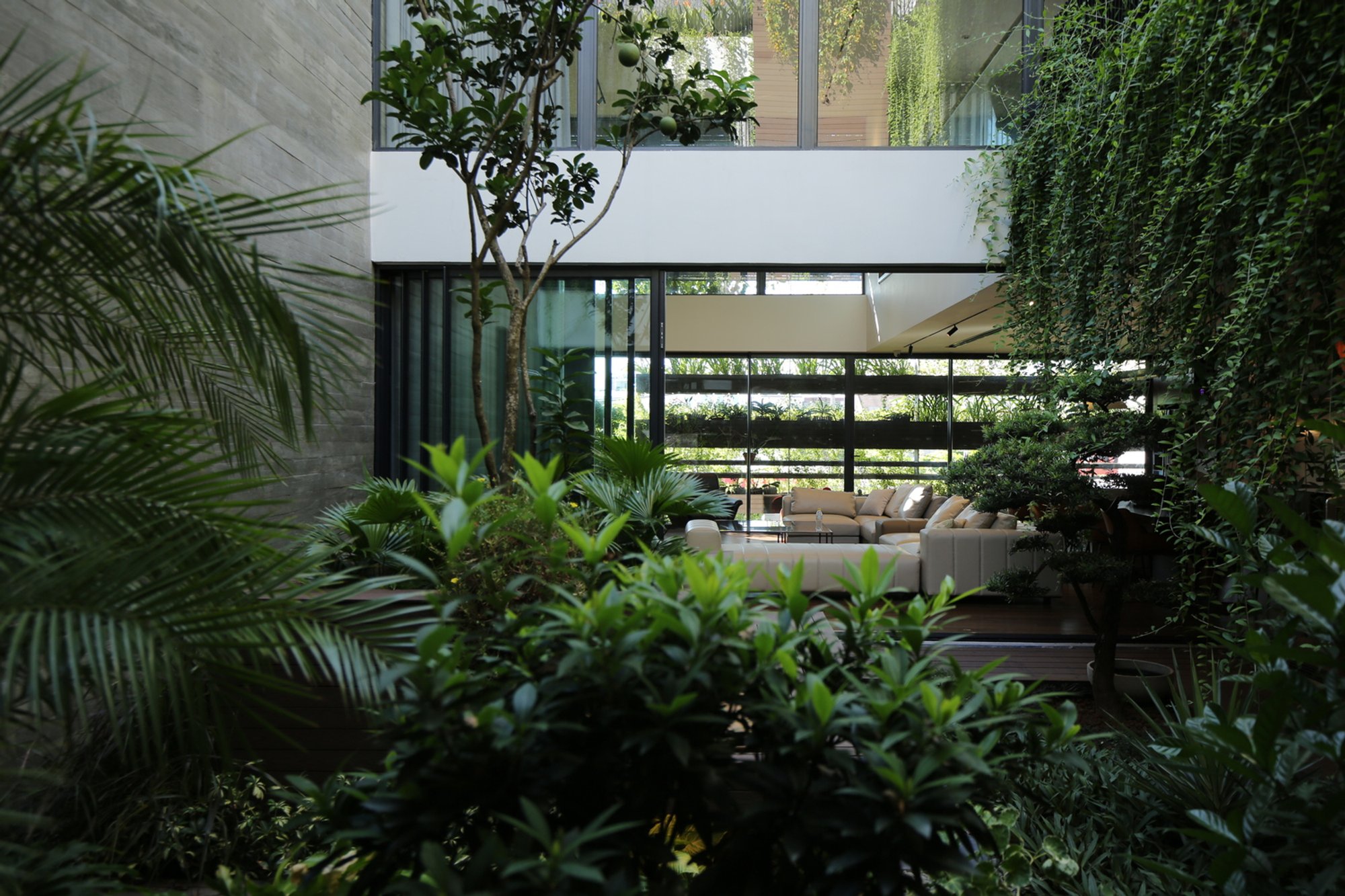 DKS House by MAS Architecture Workshop: A Sustainable Urban Oasis in the Heart of Vietnam