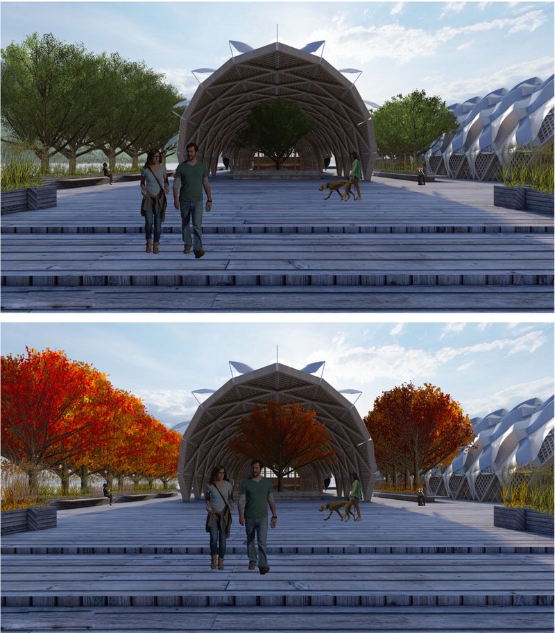 A central pathway welcomes visitors beneath changing canopies—lush in summer, fiery in autumn.