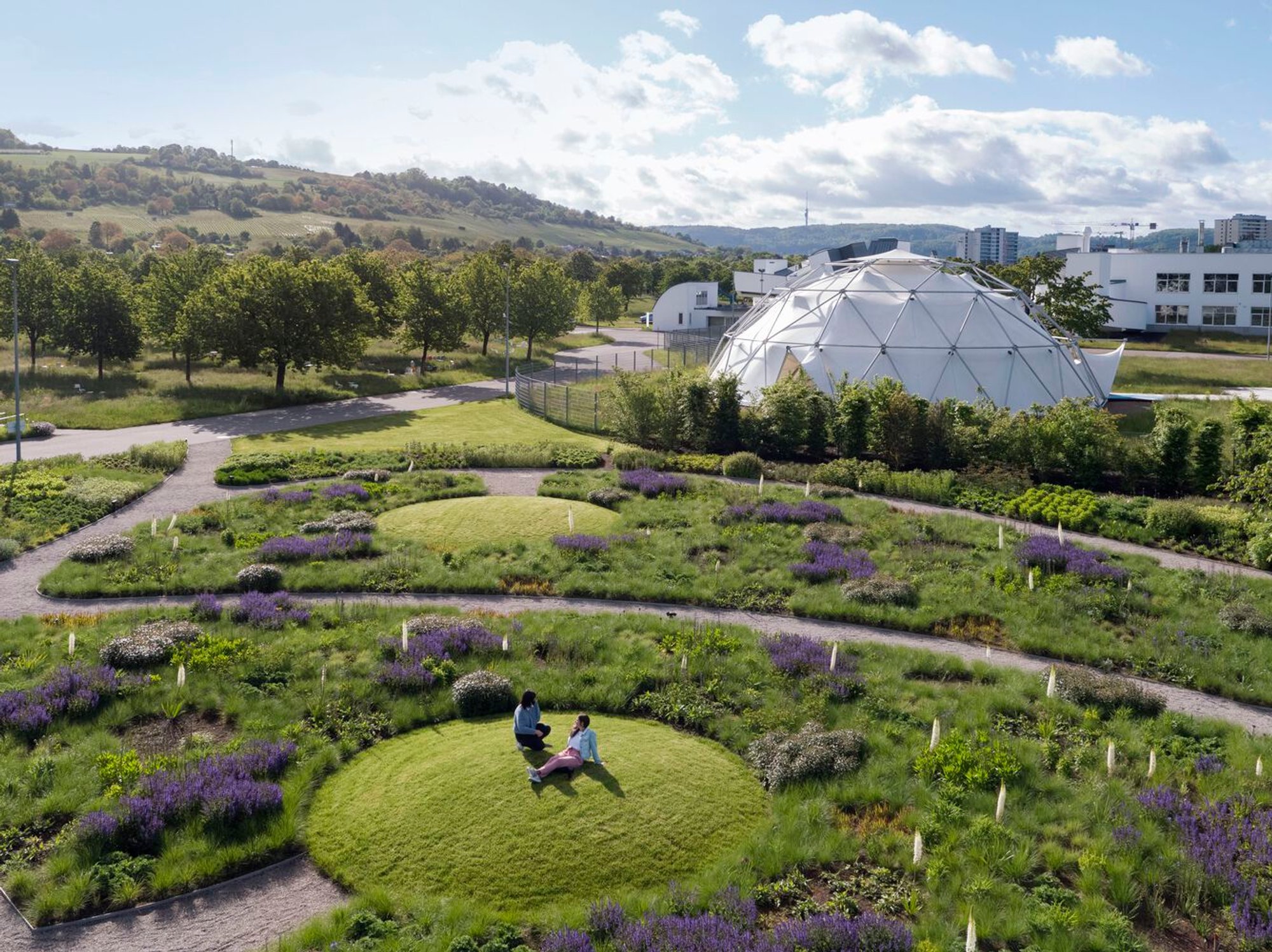 Vitra Oudolf Garden by Piet Oudolf: A Living Tapestry of Wild Elegance