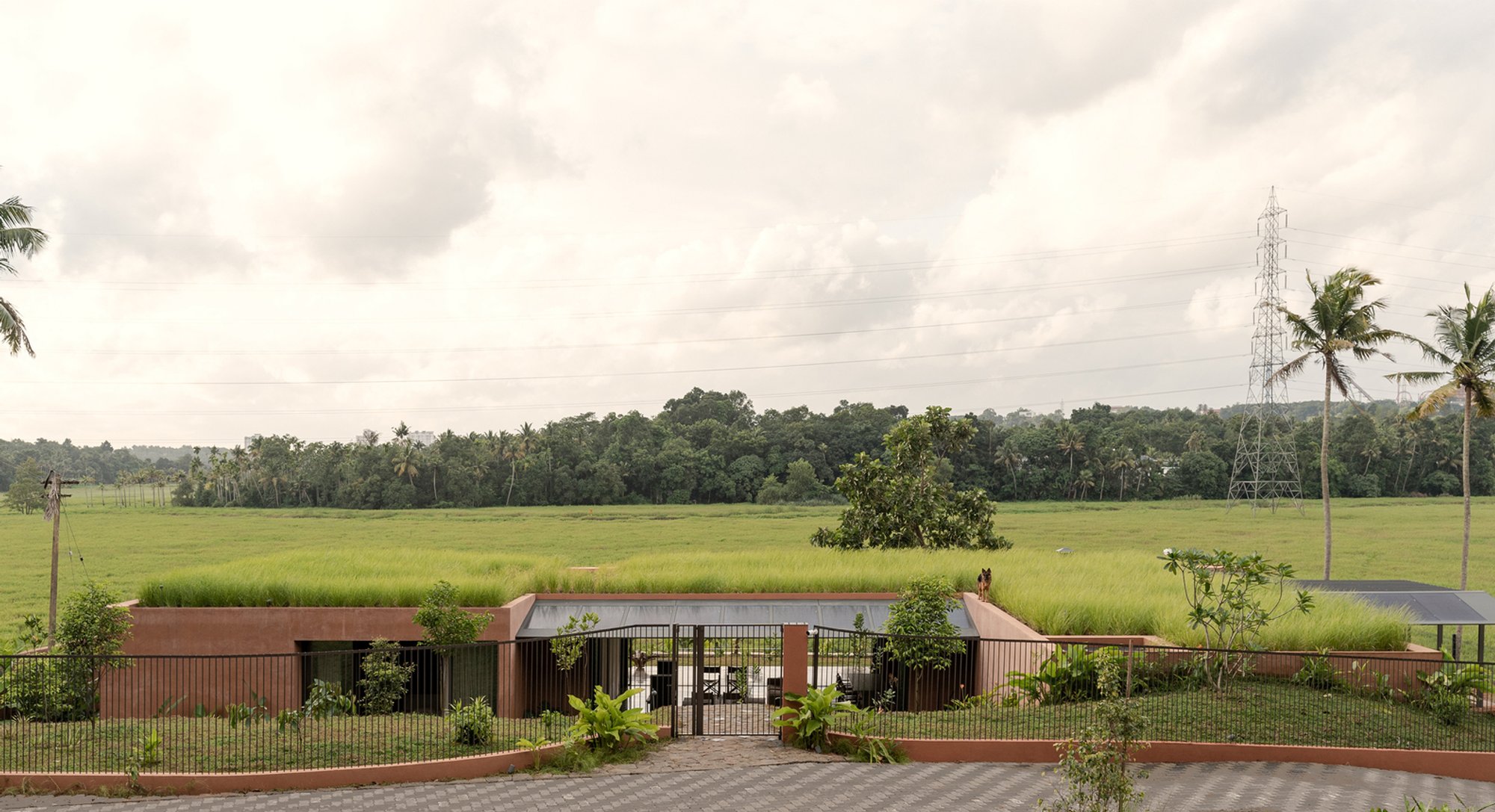 Alarine Earth Home by Zarine Jamshedji Architects: A Sustainable Earth-Integrated Residence in Kochi
