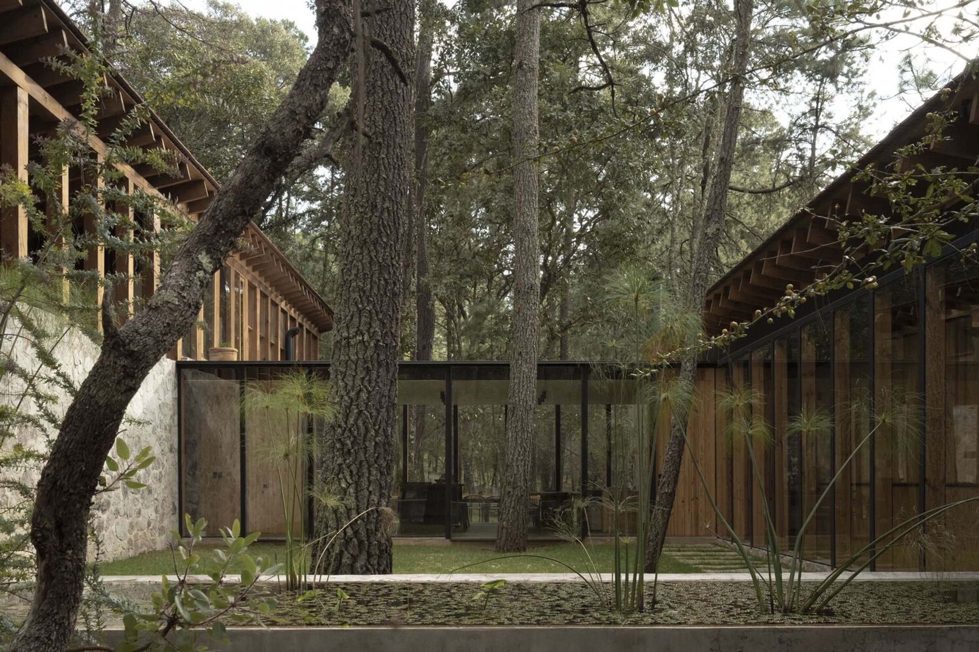 R&R House by Álvaro Moragrega: A Contemporary Forest Sanctuary in Tapalpa, Mexico