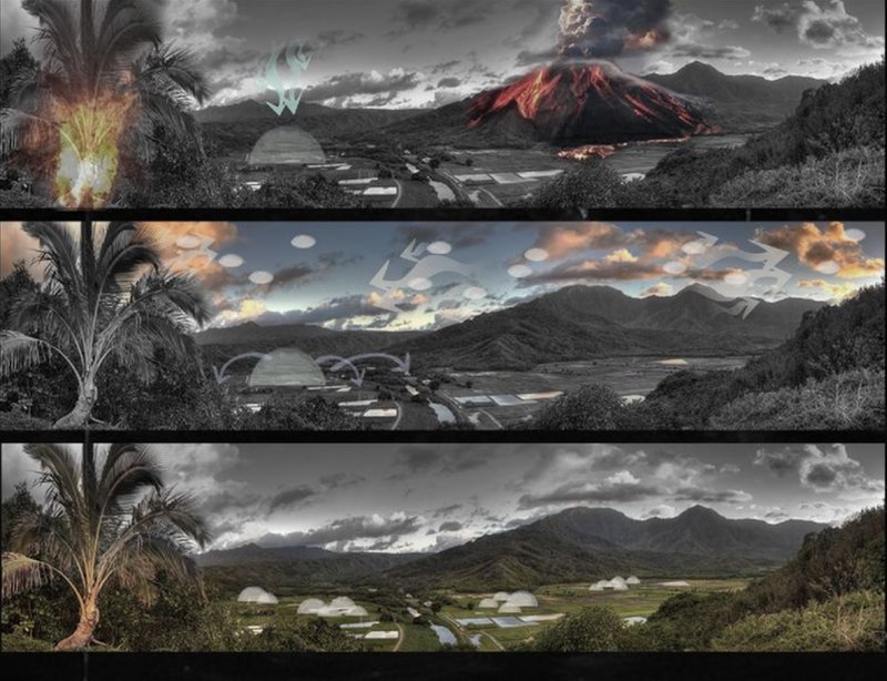 A visual narrative of destruction, deployment, and regeneration through the biomimetic architectural response of "The Swarm"