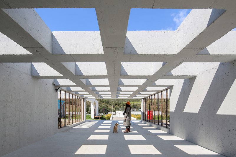 Pako Street Animal Social Life Campus by Mert Uslu Architecture: a housing ecosystem that reimagines how humans and animals share residential space