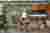 Itamarati 91: A Contemporary Renovation by Adriana Bersou