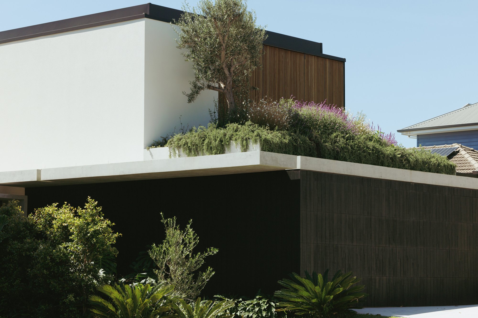 Little Birch House by buck&simple: A Modern Urban House Design Rooted in Stillness and Detail