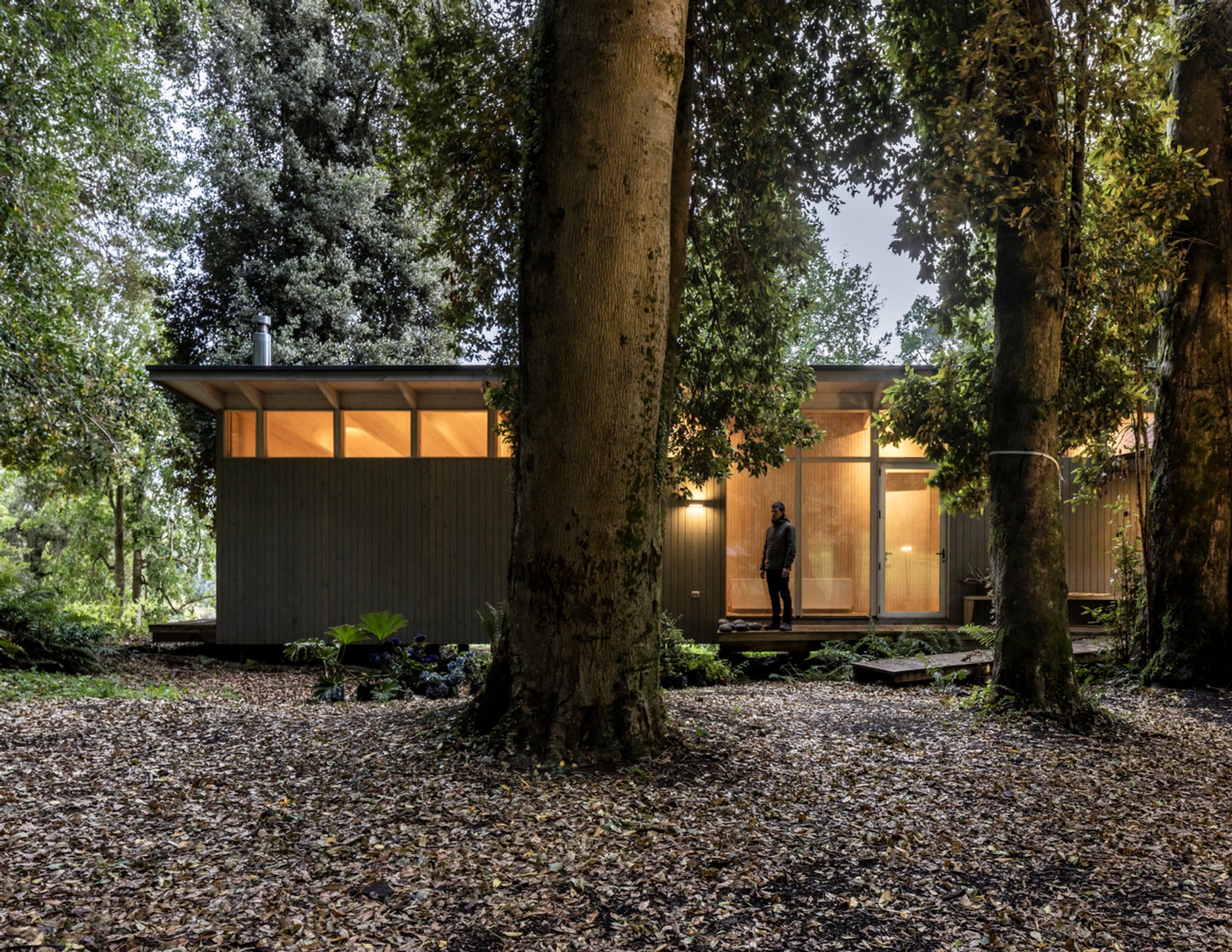 Forest House Architecture: House of the Glade by Ignacio Correa in Southern Chile