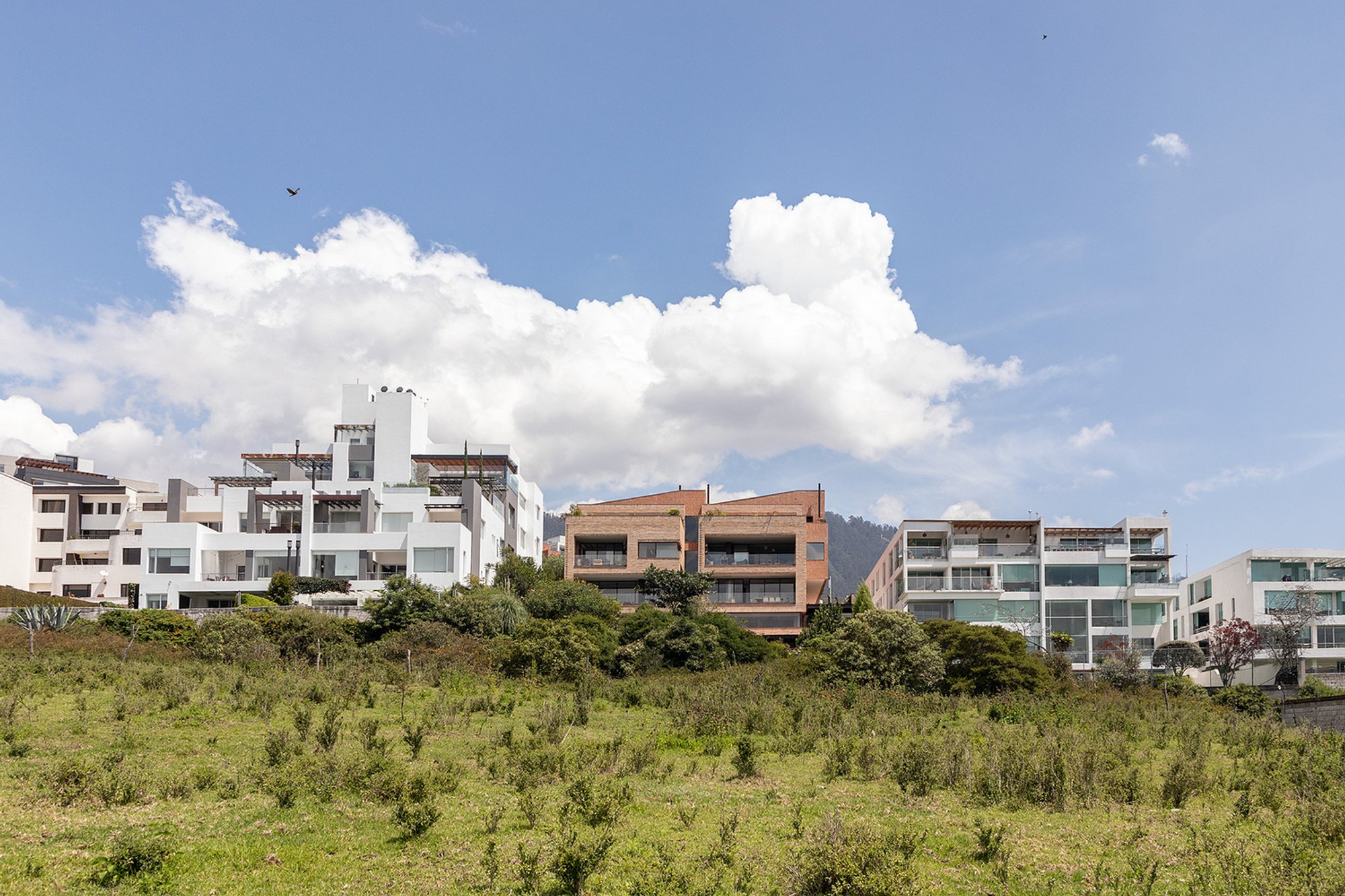 Bonica Apartments in Quito: A Community-Driven Brick Residential Project by Diez + Muller Arquitectos and Arq. Álvaro Borrero
