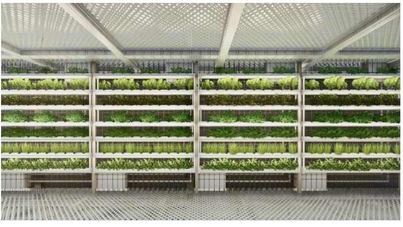 Multi-tiered soilless cultivation units designed for compact food production in dense city environments.
