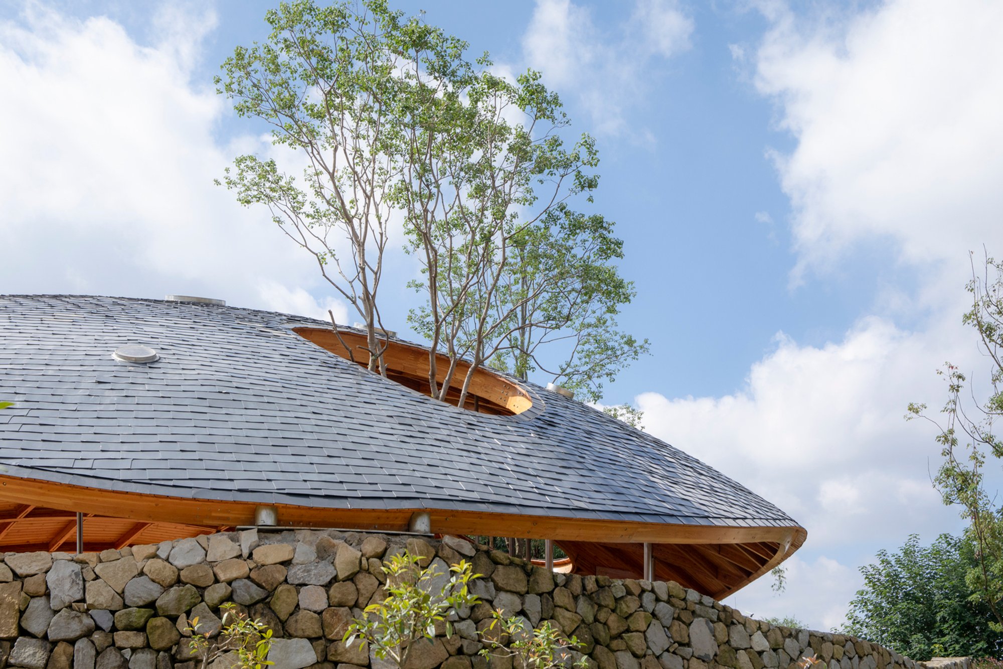 Heilongtan Dome Music Hall: A Celebration of Dome Music Hall Architecture in Harmony with Nature