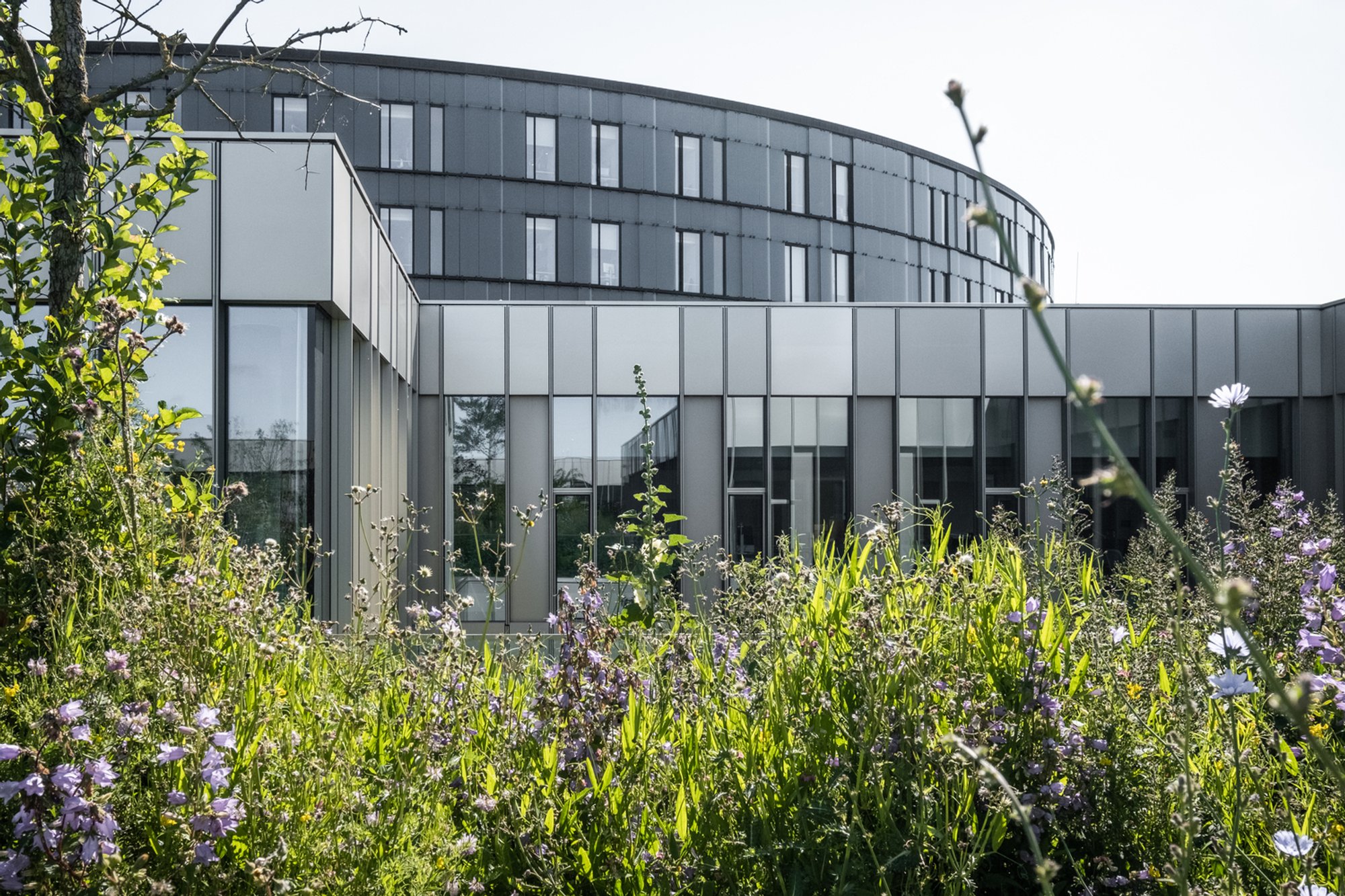 Steno Diabetes Center Copenhagen: A Holistic Approach to Health and Design