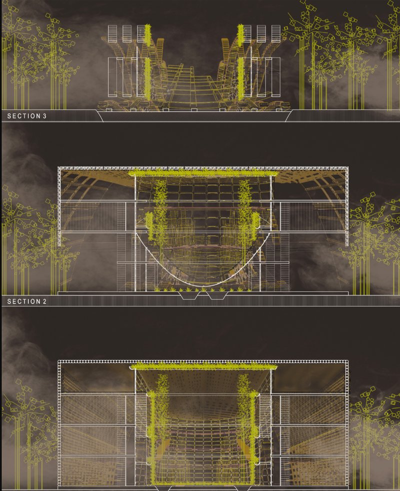 Architectural sections reveal the hyphae-inspired structure rooted in wetland topography and organic form.