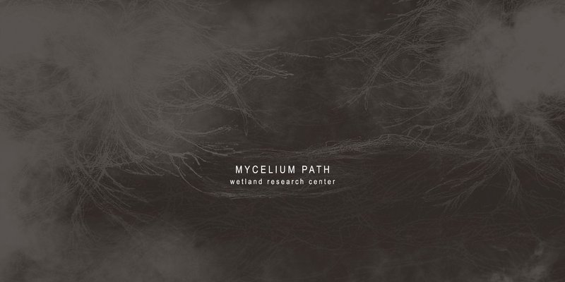 Mycelium Path Wetland Research Center — Shortlisted in WIC Competition by Ivona Mangovic