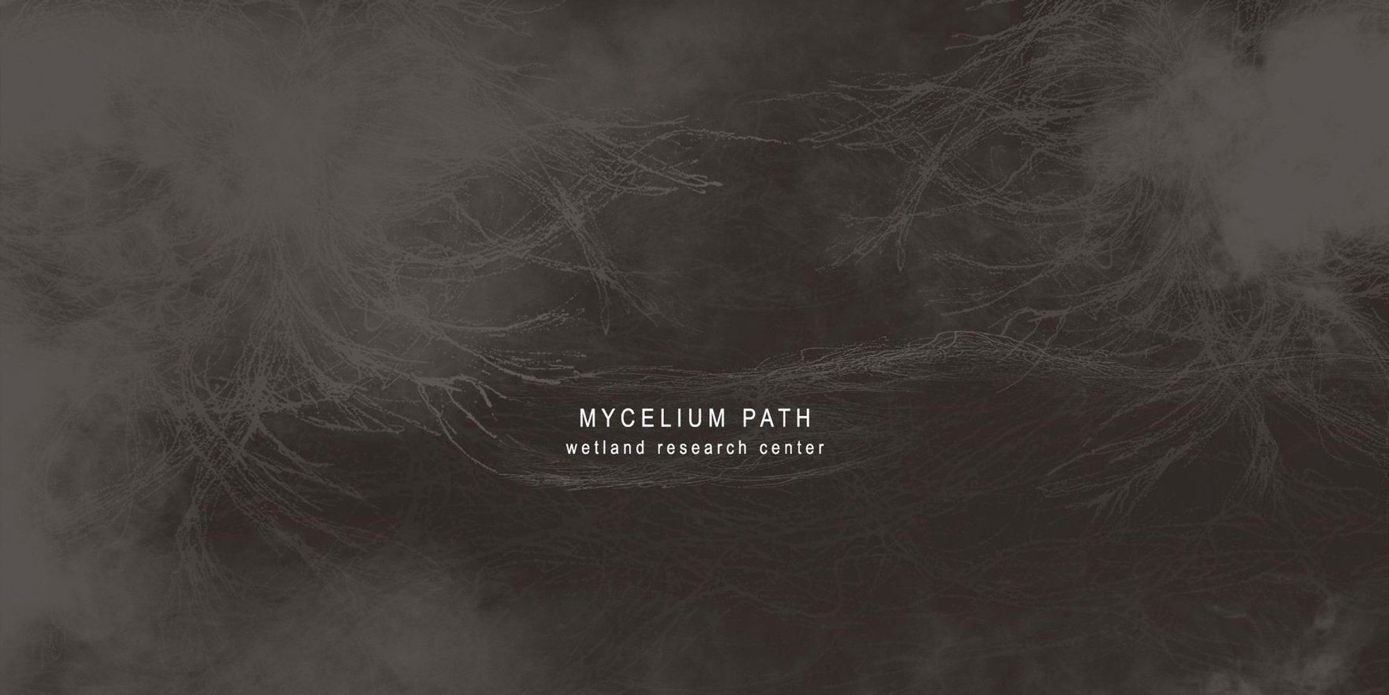 Mycelium Path – A Bio-Architecture Vision for Wetland Sustainability