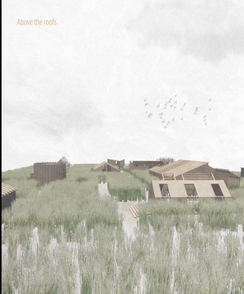 REED MAZE — Workshop and Research Centre on the River Tame, Birmingham