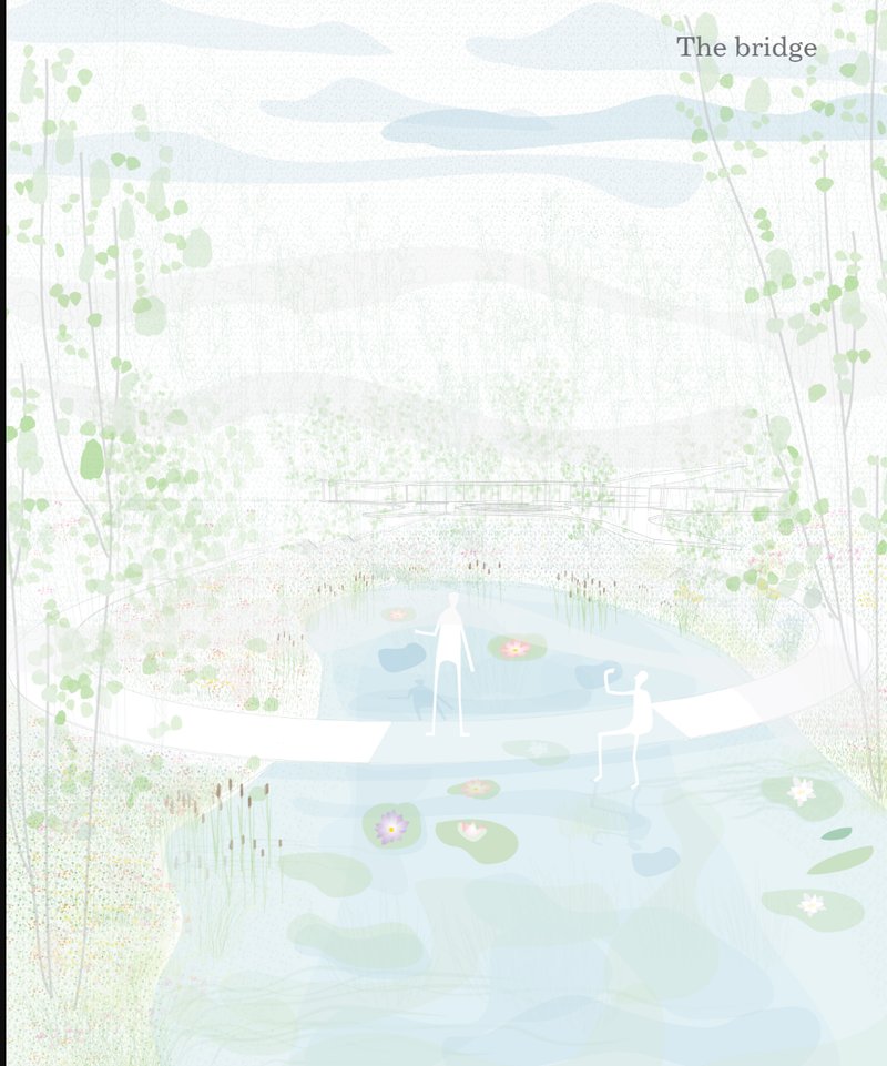 Elevation drawing showing a low bridge crossing a pond with water lilies and reeds beneath overhanging trees