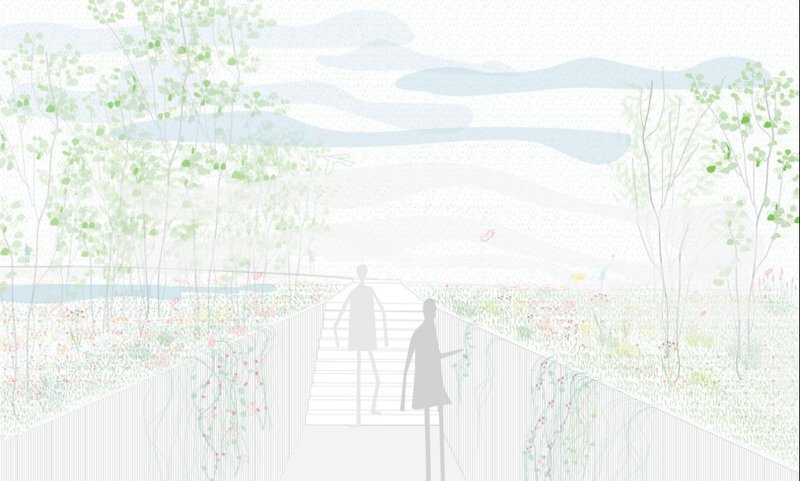Section drawing depicting an elevated timber boardwalk through wildflower meadow with visitors and young trees