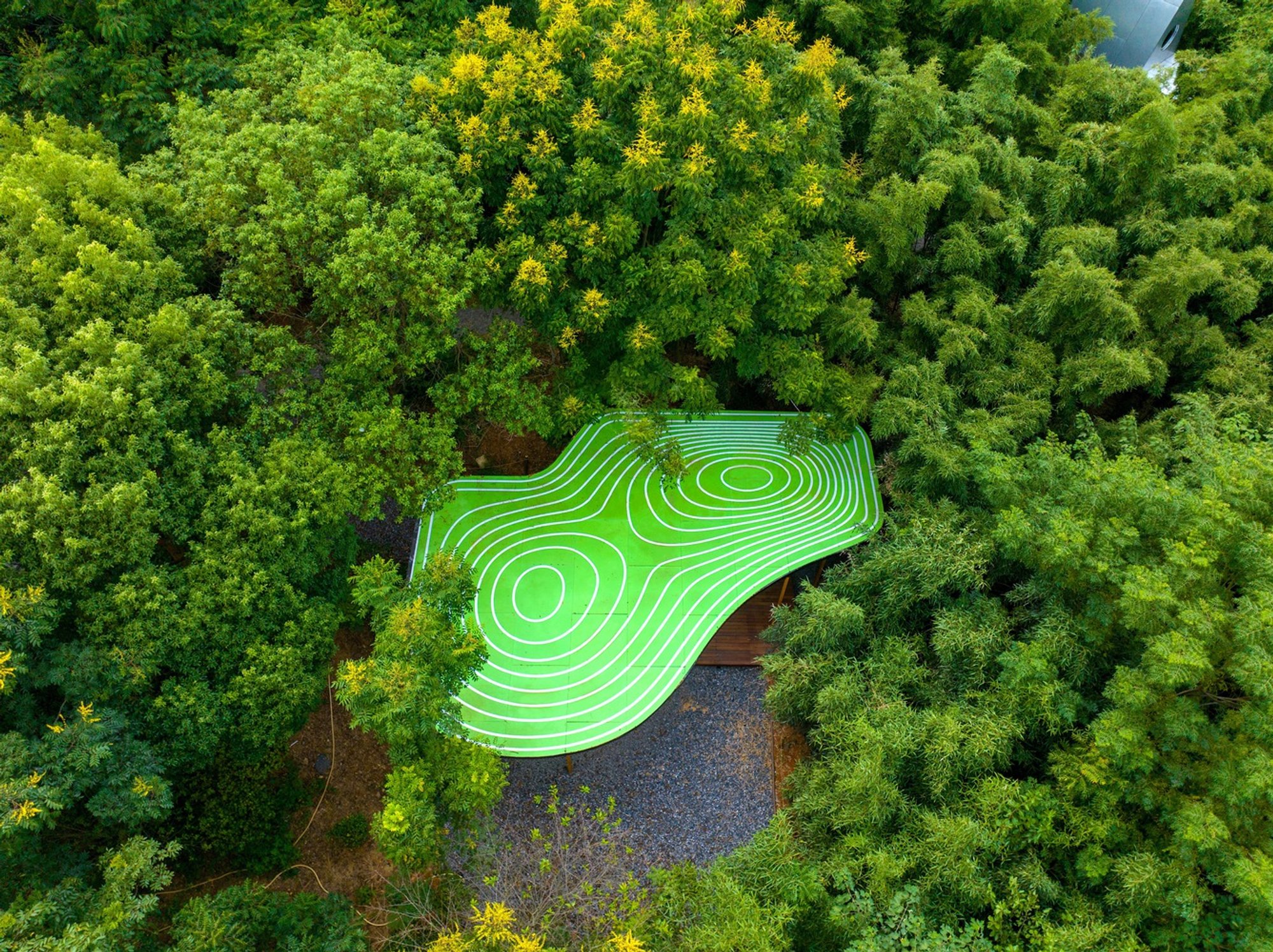 The Cabin of Palette: A Forest Cabin Architecture Project Blending Art, Nature, and Community Living