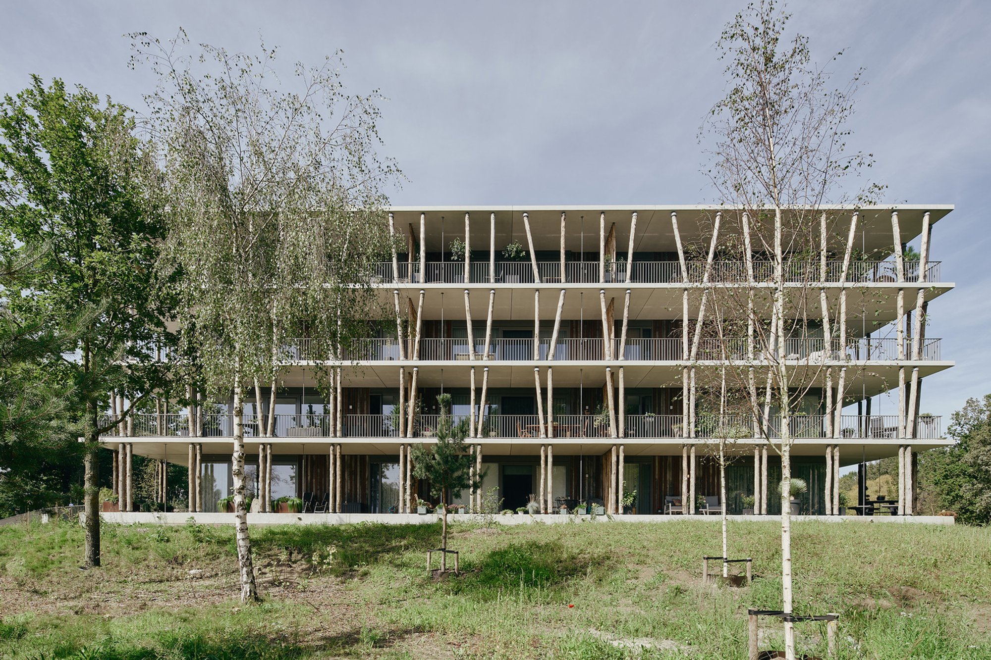 ‘t Bosbad by GAAGA: A Sustainable Forest-Inspired Residential Ensemble in Eindhoven