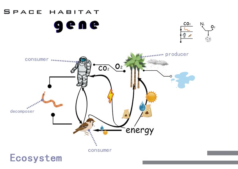 Visualizing a closed-loop ecosystem with plants, animals, and decomposers sustaining life in a space habitat.