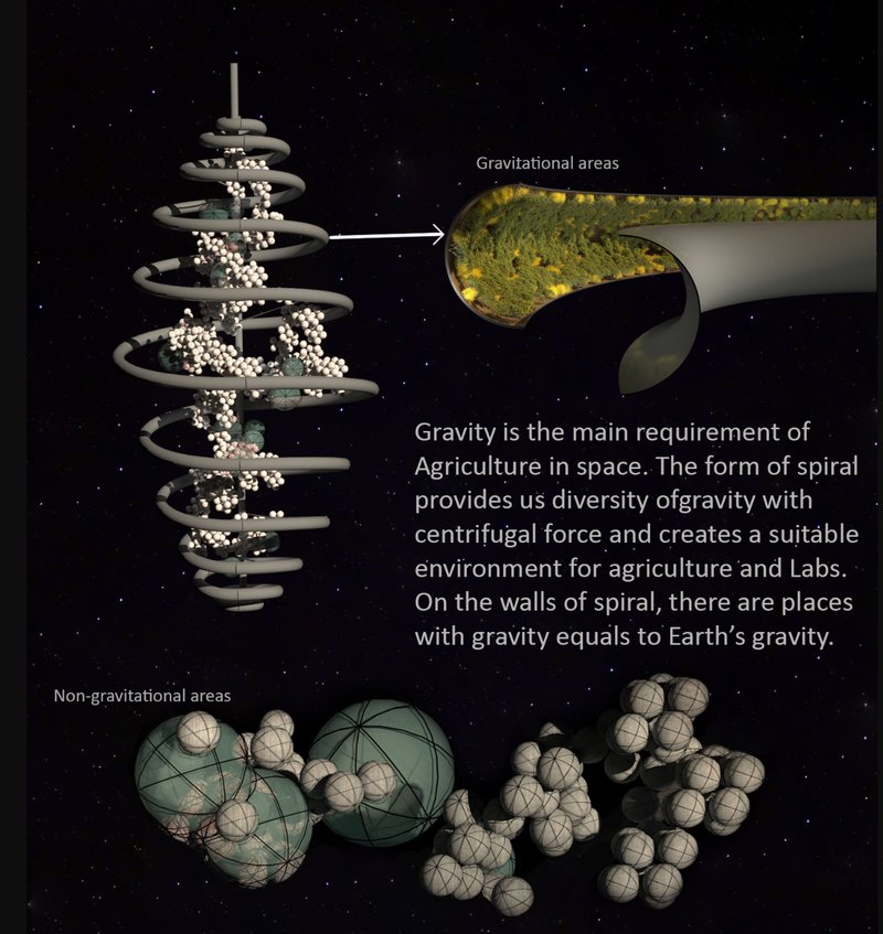 The spiral form enables Earth-like gravity through centrifugal force—ideal for farming and labs.