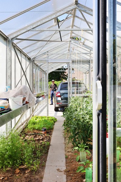 This image showcases the interior of a greenhouse, featuring a metal frame structure with glass pane