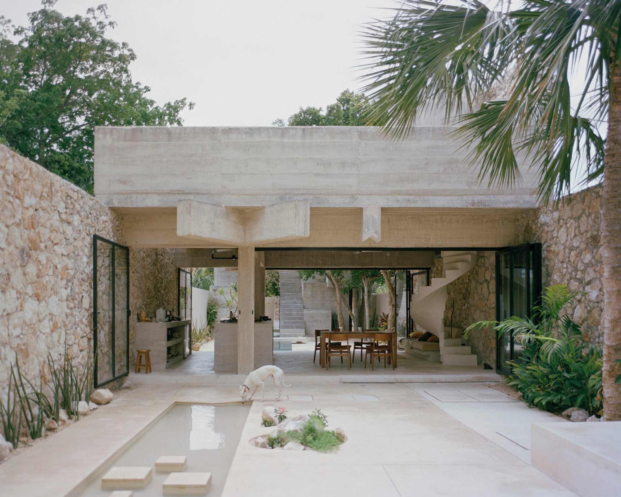 House in Los Cocos by Ludwig Godefroy Architecture: A Timeless Concrete Retreat in Mérida
