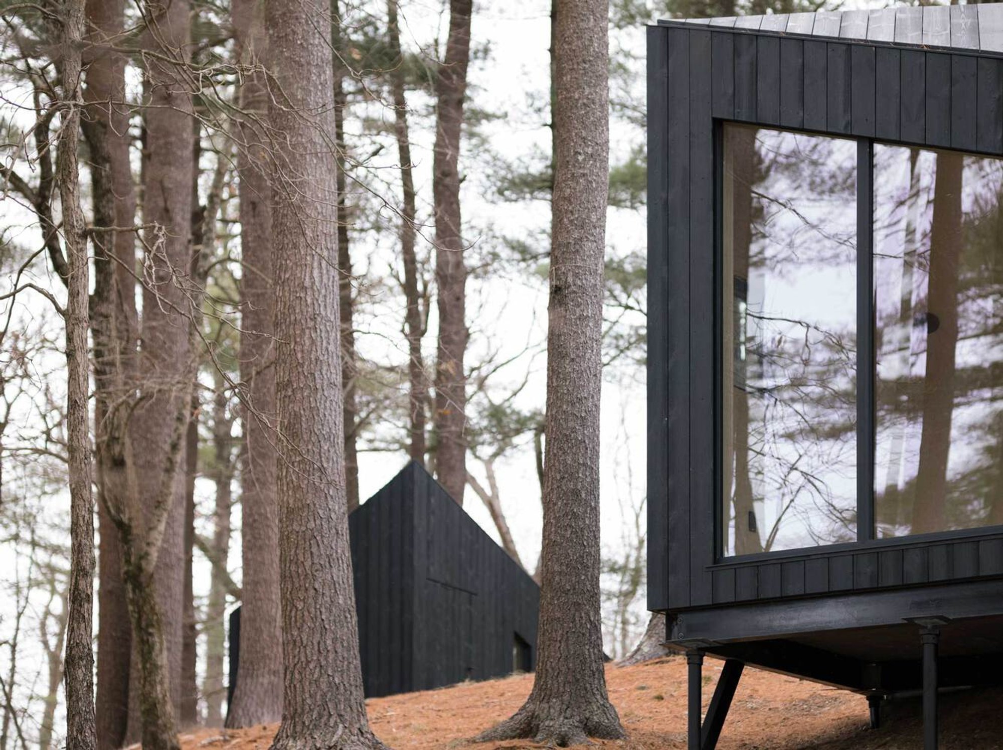 Koto Niwa Cabin: Redefining Modular Cabin Architecture for Sustainable Living