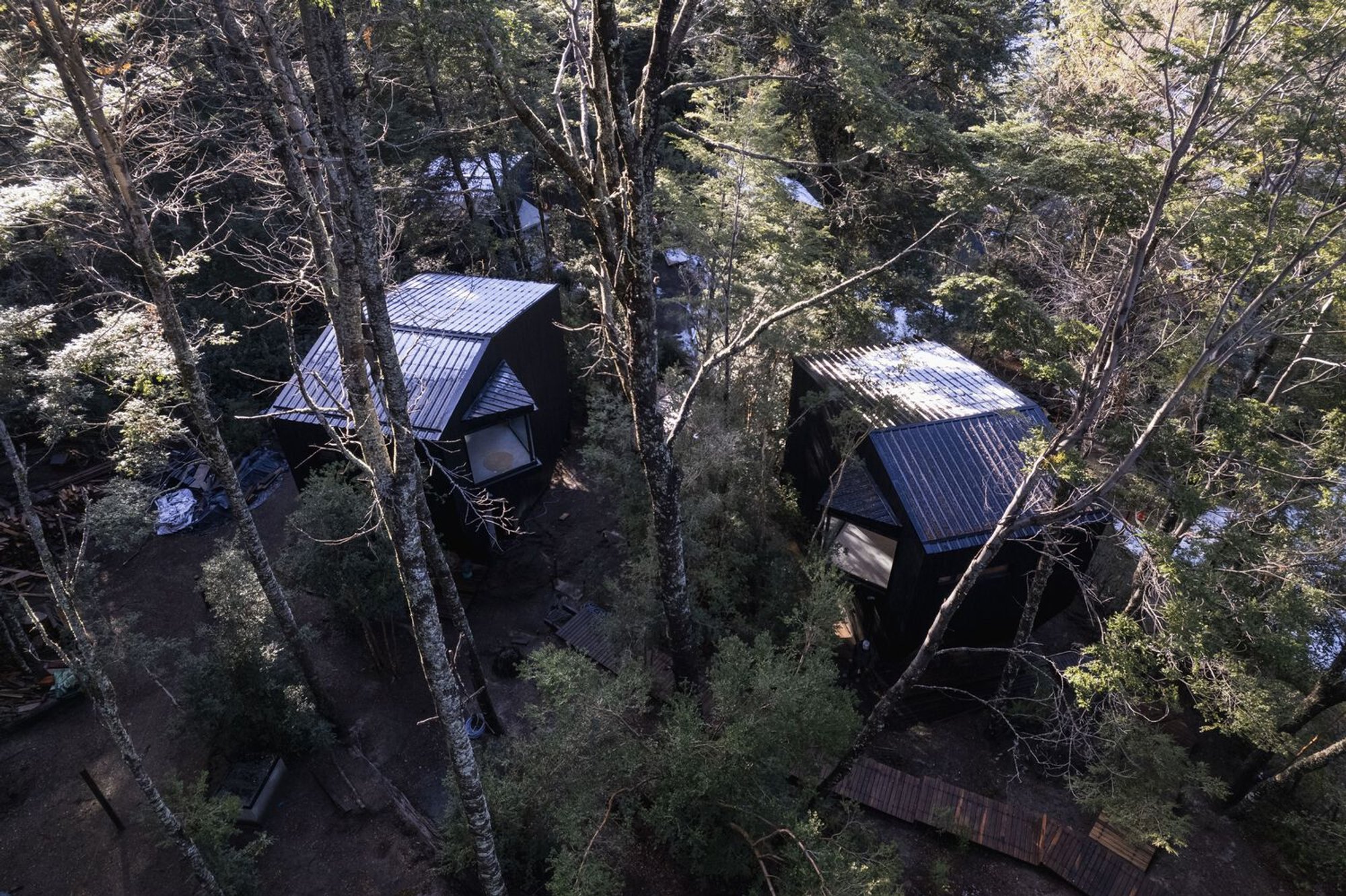 Gallareta House by OJA: A Harmonious Retreat in Patagonia’s Native Forest