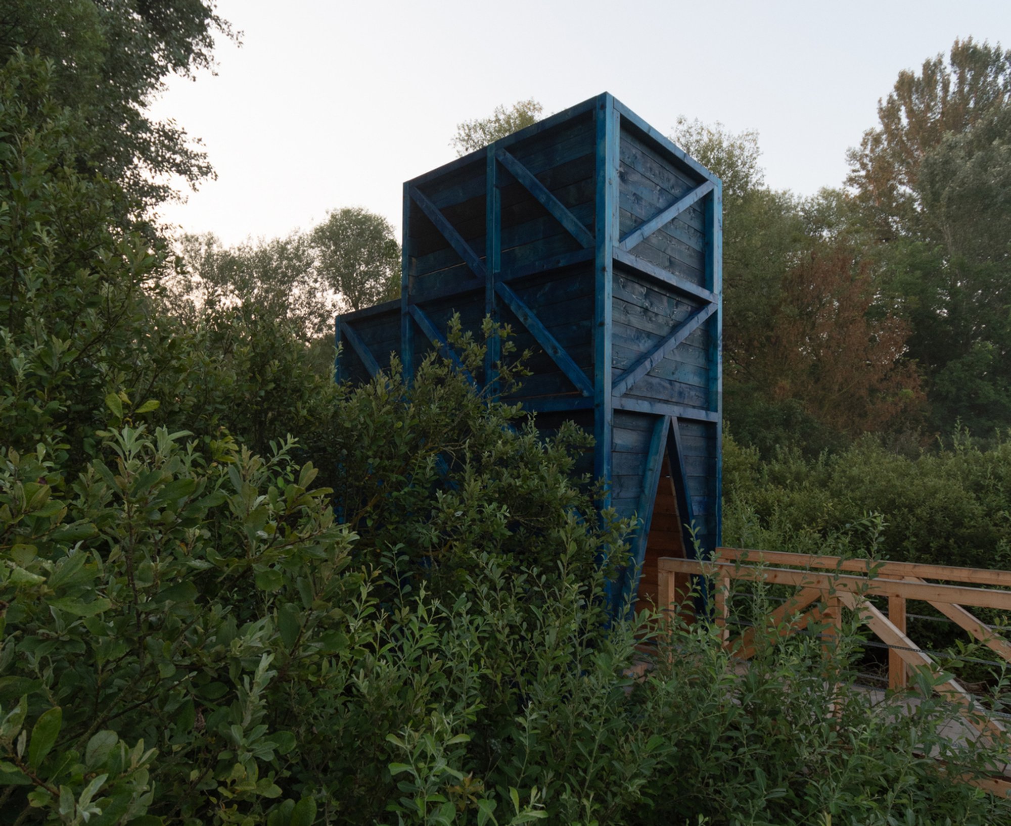 Blue Signature by Paradigma Ariadné: A Unique Architectural Journey into Hungary’s Fragile Boglands