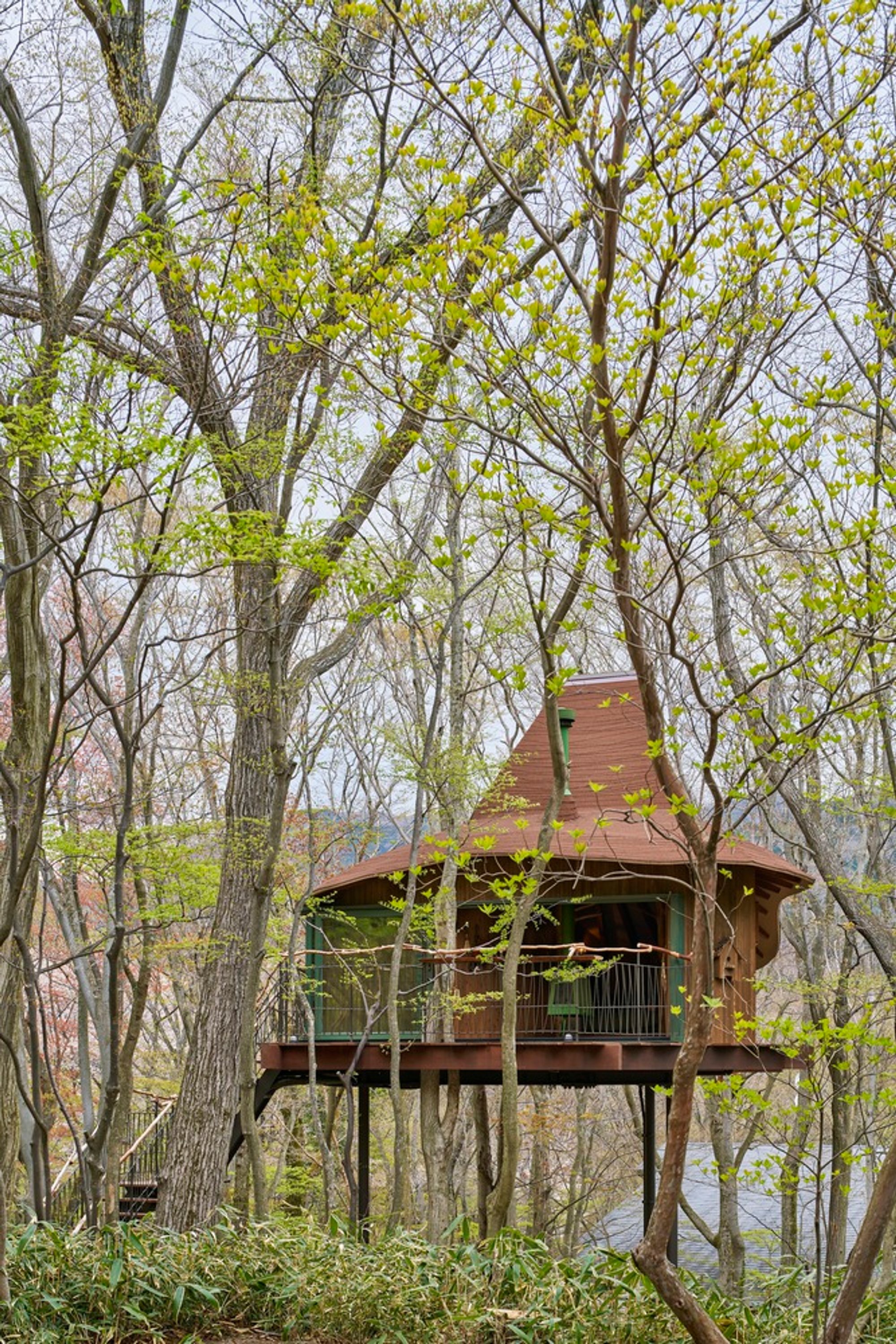 Tree Hut on Volcano by Hiroshi Nakamura & NAP: A Minimalist Sanctuary Suspended Above Nature