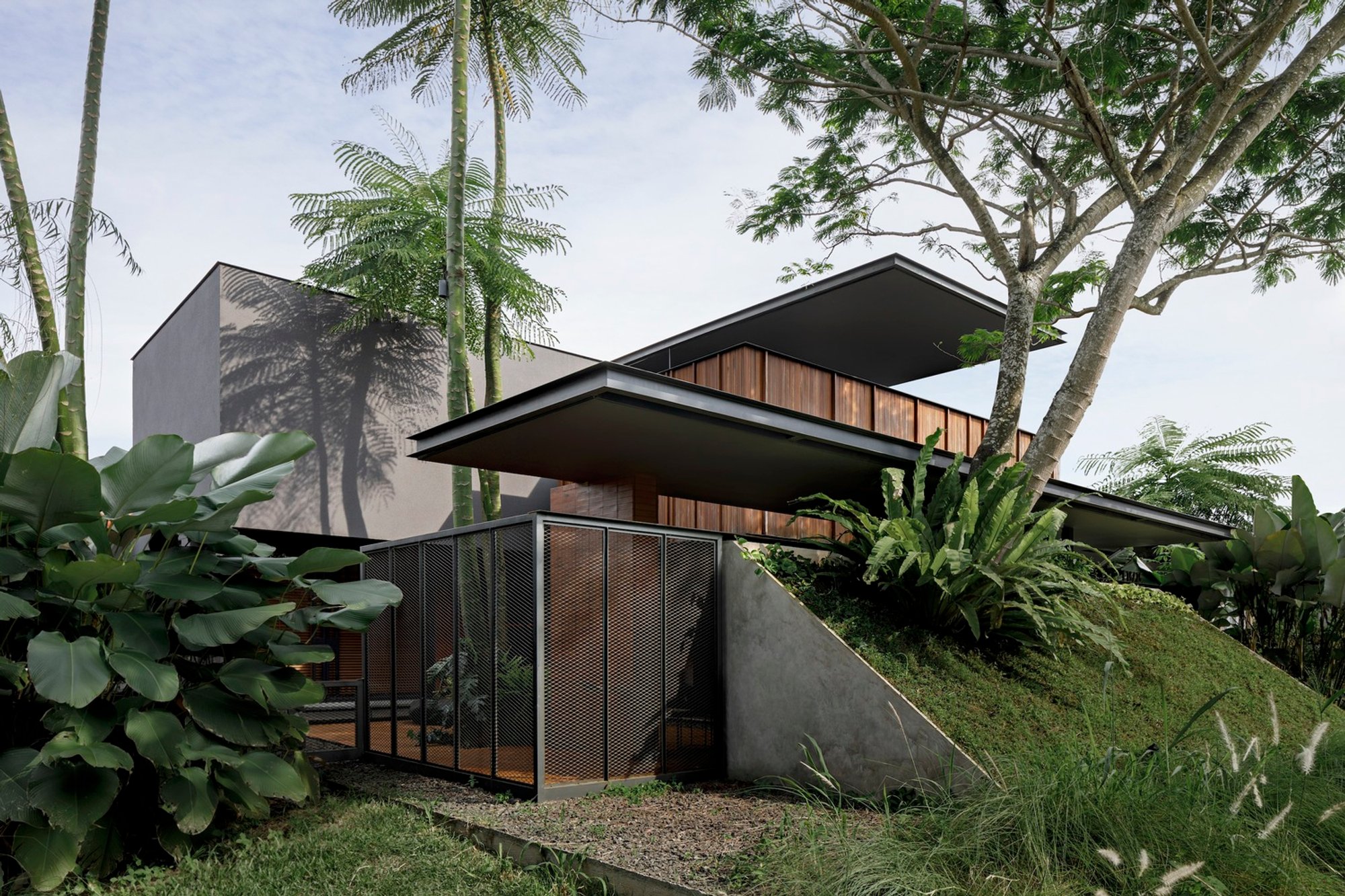 Studio F15 by Axial Studio: A Tropical Courtyard Home Blending Work and Leisure