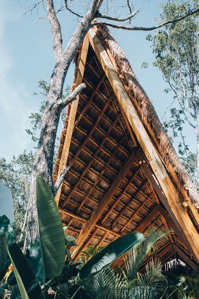 This architectural image showcases a tropical structure with a distinctive triangular thatched roof 