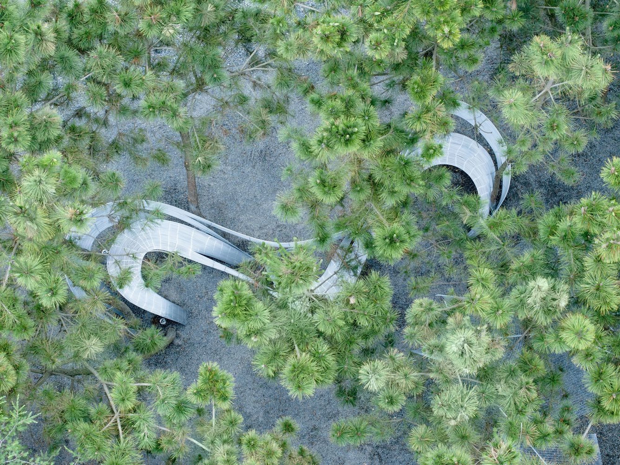 Suzi Beauty Rely by Kong Xiangwei Studio: A Sculptural Bench Intertwining Nature, Art, and Human Connection