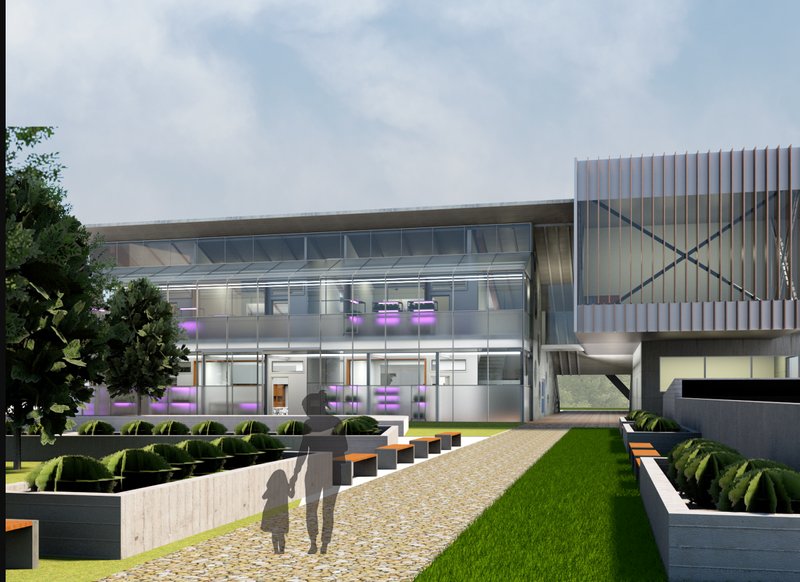 Welcoming green approach path connecting architecture with outdoor learning landscapes.