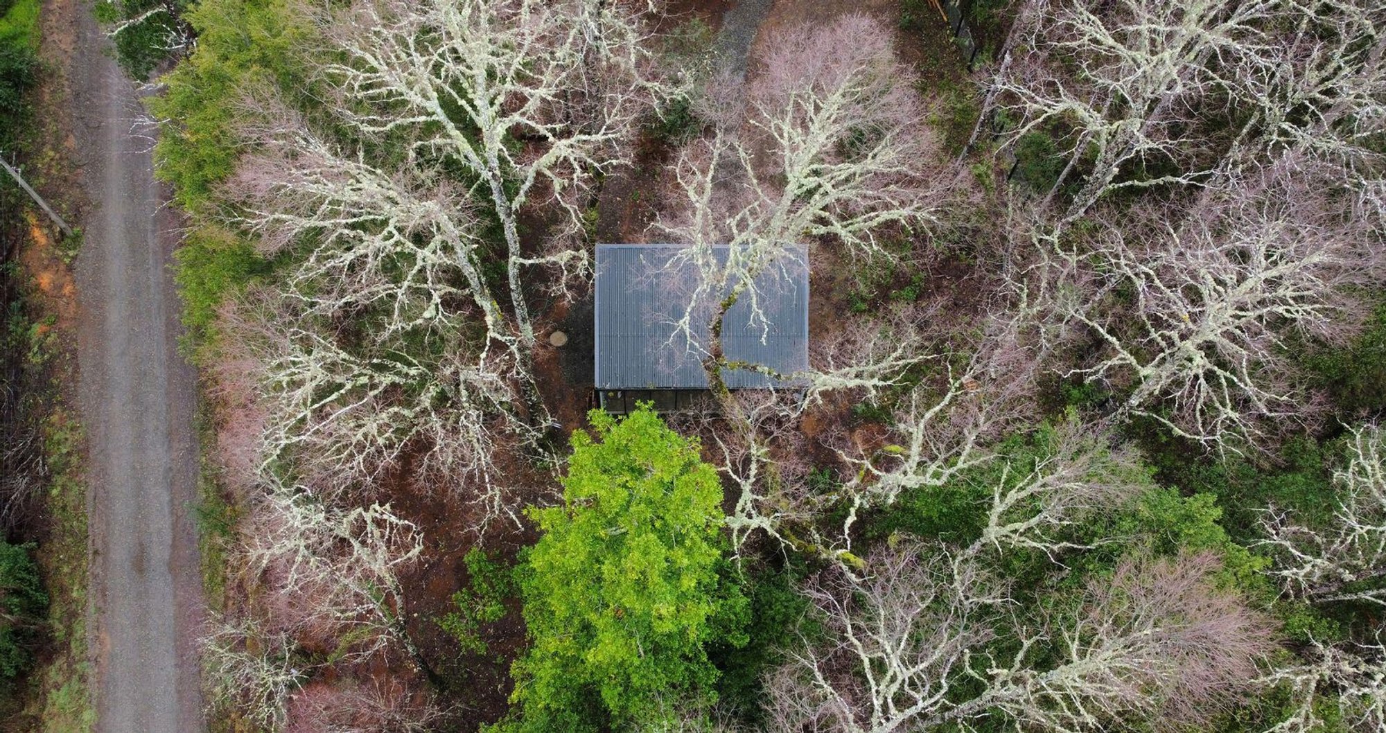 Mezzanina Cabin by Arce&Westermeier: A Raised Sanctuary in the Valdivian Rainforest