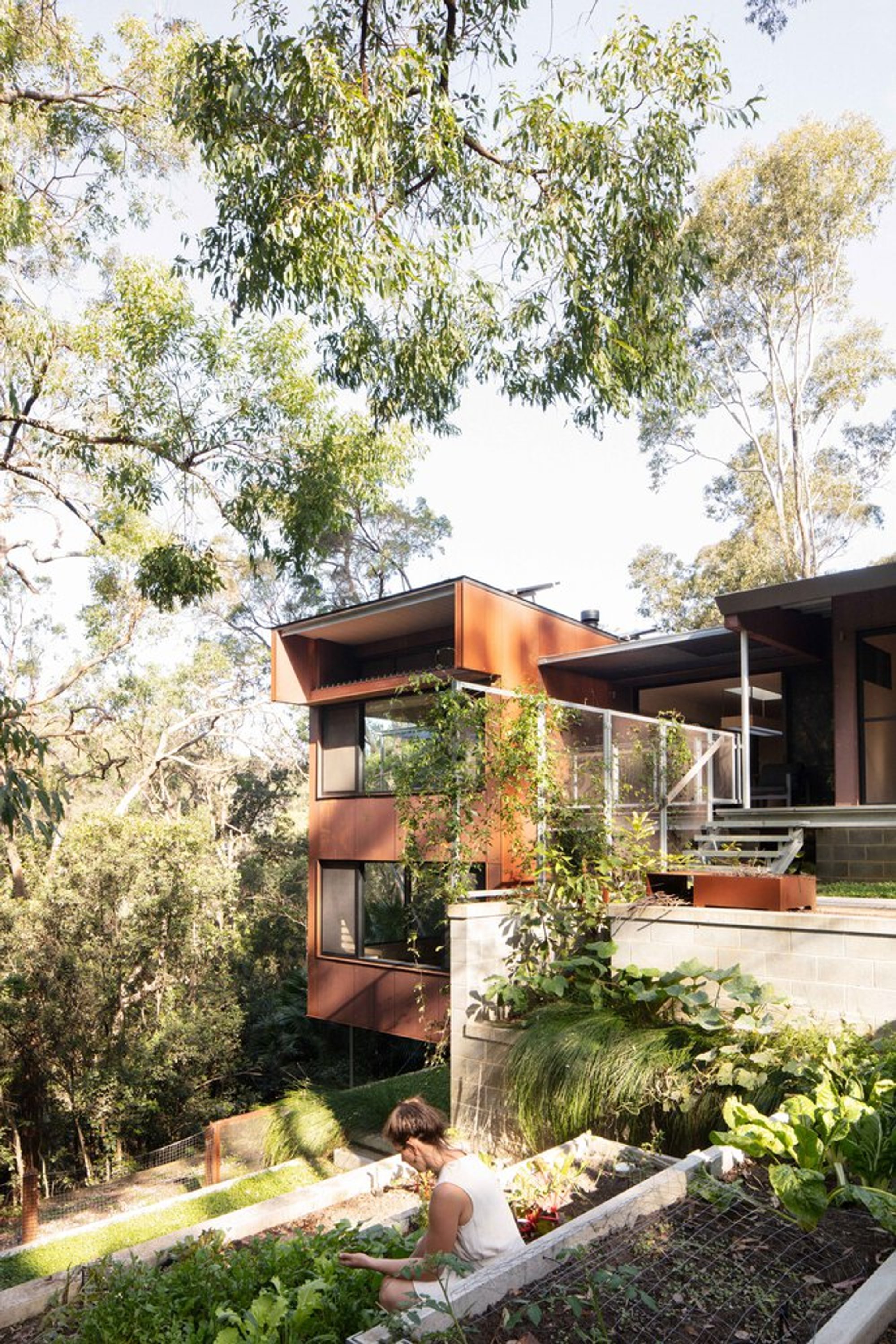 Tree House by Incidental Architecture — A Harmonious Fusion of Architecture and Nature in Sydney’s Northern Beaches