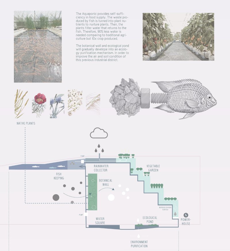 A closed-loop ecological system recycles rainwater and nurtures plants using aquaponics and native vegetation.