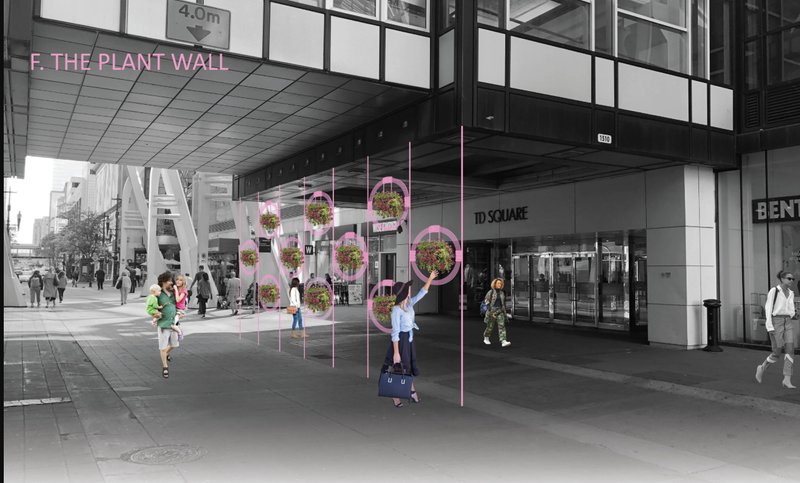 Community-driven plant walls bring nature and exchange into the heart of the city.